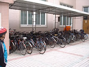 The bike rack at Gold Apple Bilingual School in SHanghai China